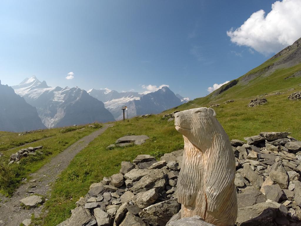 Ferienwohnung Almis Sunna Grindelwald Exterior foto